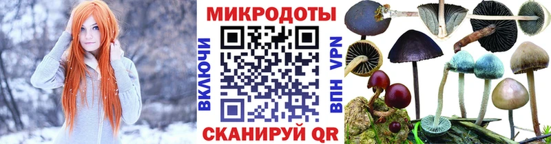 Псилоцибиновые грибы Magic Shrooms купить закладку Медногорск
